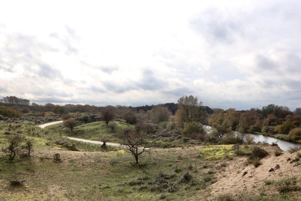 duinen zandvoort